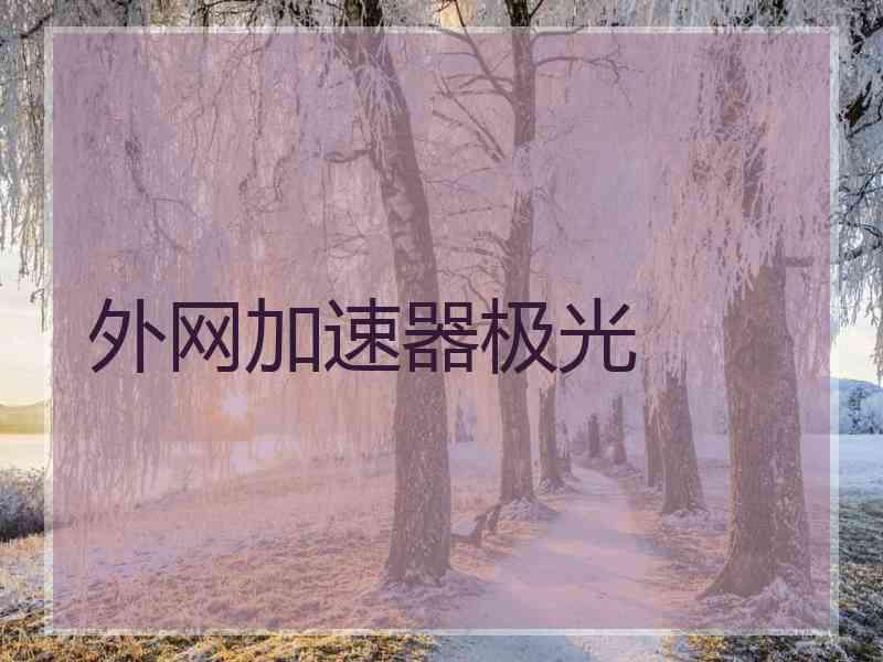 外网加速器极光