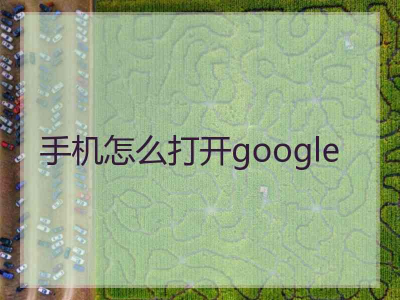 手机怎么打开google