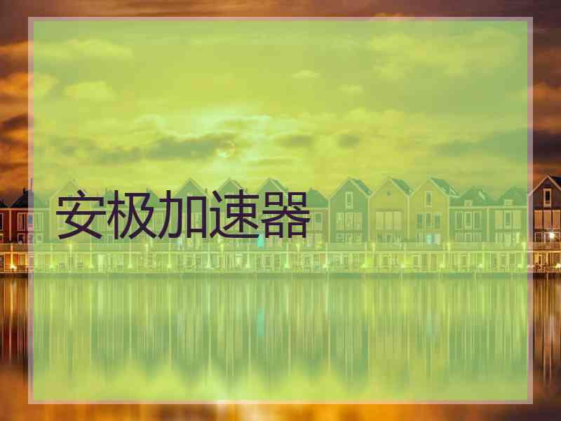 安极加速器