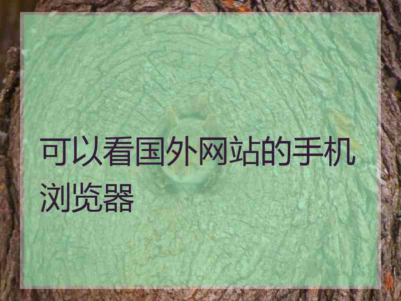 可以看国外网站的手机浏览器