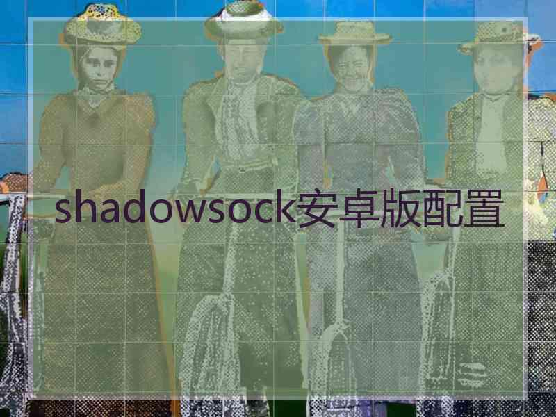 shadowsock安卓版配置