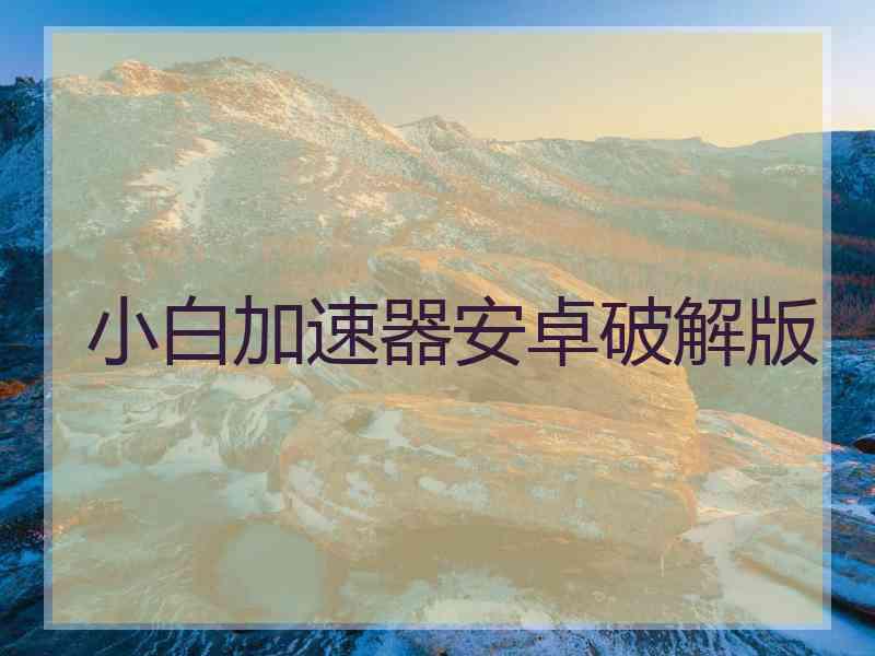 小白加速器安卓破解版
