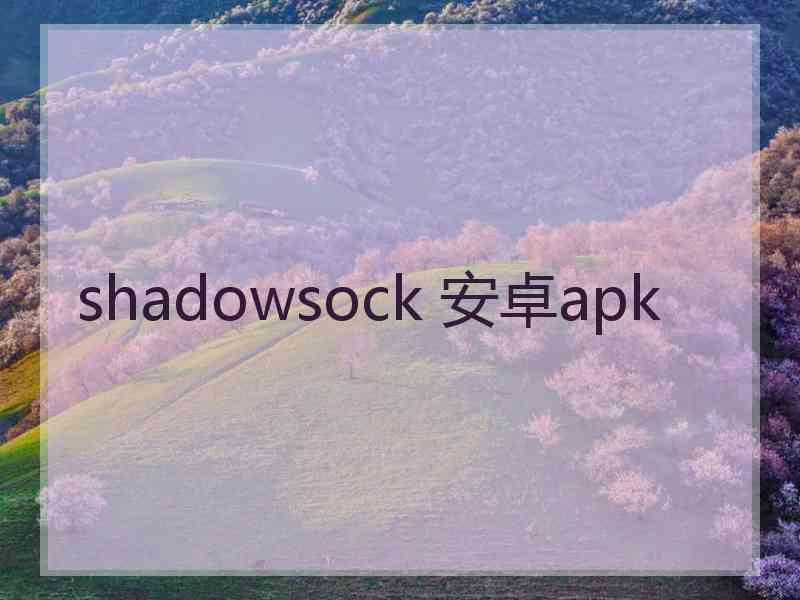 shadowsock 安卓apk
