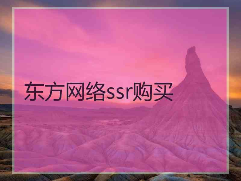 东方网络ssr购买