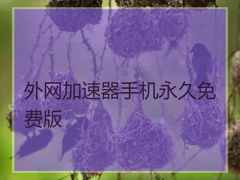 外网加速器手机永久免费版
